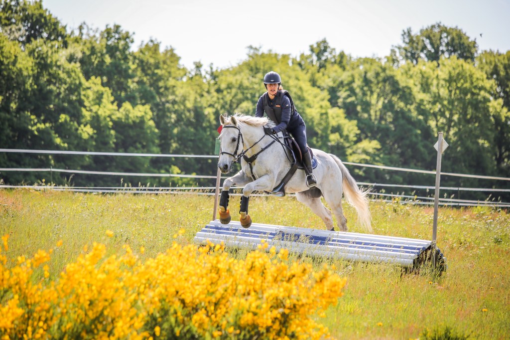 Actualités Ecurie du rondeau