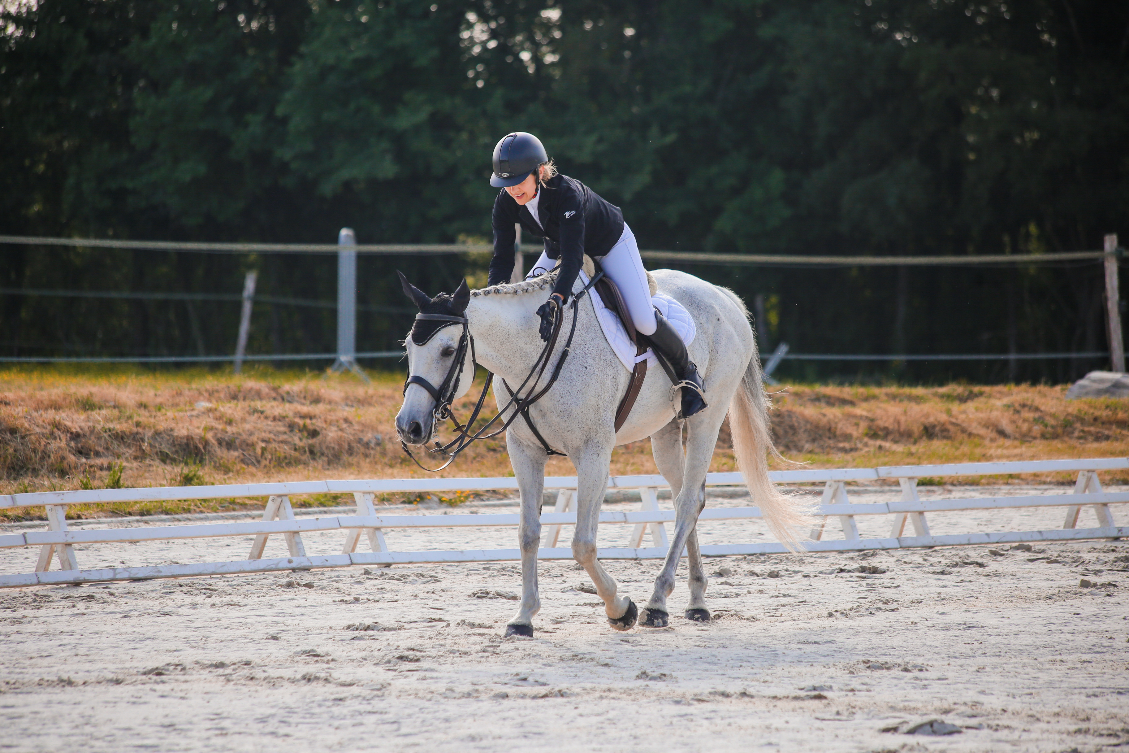 dressage - ecurie du rondeau